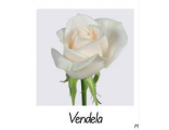 Вендела - Vendela