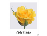Голд Страйк - Gold Strike